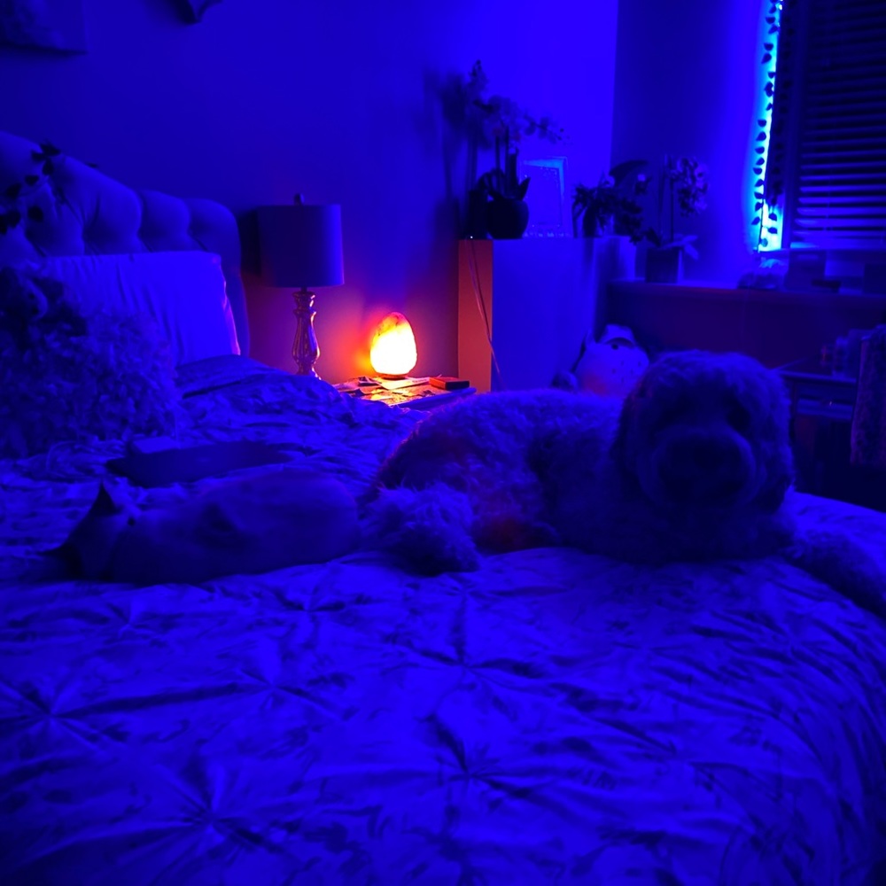 Meet your Posher, Gaby